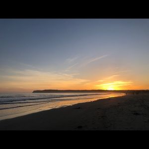 Meet your Posher, Alin